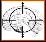 Cognitive Warfare and the Brain-as-Battlespace: Neuroscience, Artificial Intelligence, and the Emerging Domain of Neurostrategic Competition by James Giordano and Robert Schmidle